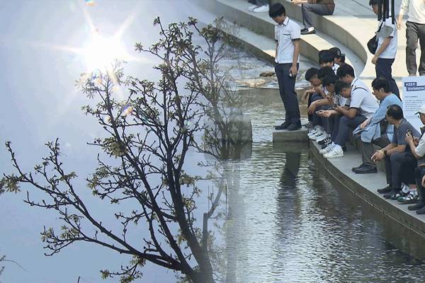 Clear Skies, Scattered Showers Expected, with Daytime Highs around 30 Degrees