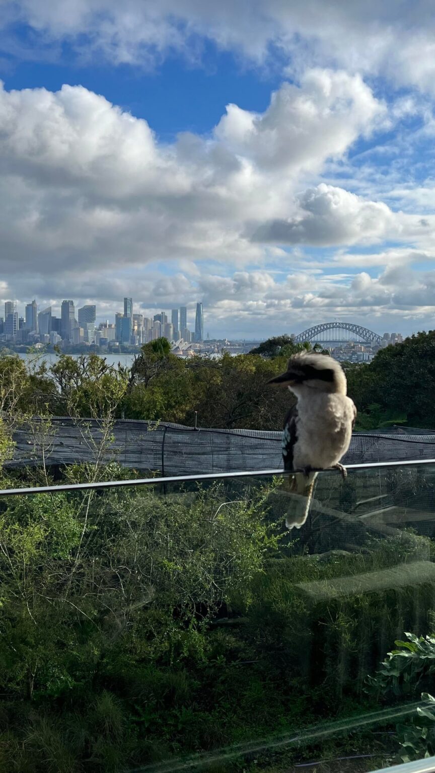 First time in Australia