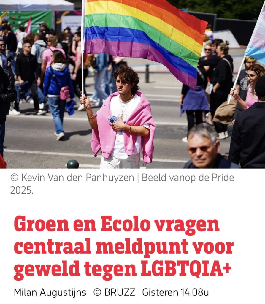 Groen and Ecolo request a central reporting point for violence against LGBTQIA+
