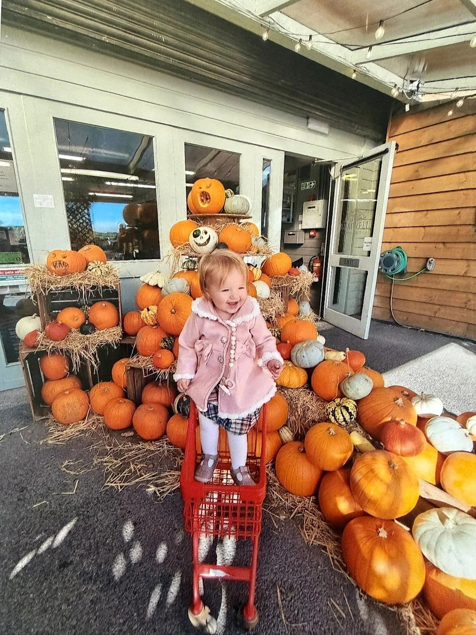 Ariella Mann's family are now seeking answers after her death (Irwin Mitchell)