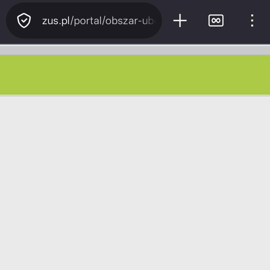 I hope that whoever wrote the ZUS website will have to use it every day