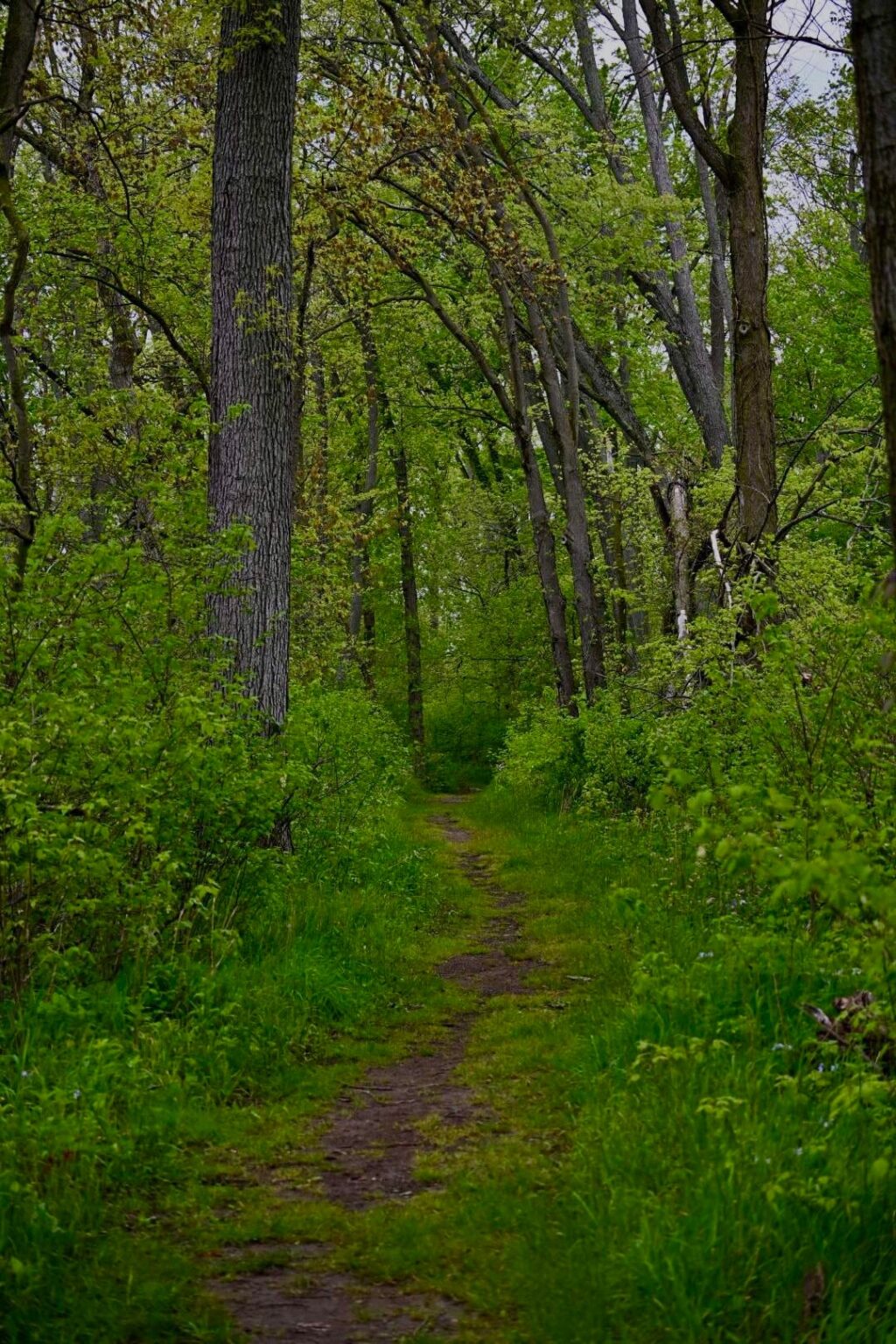 Enjoying a walk outdoors