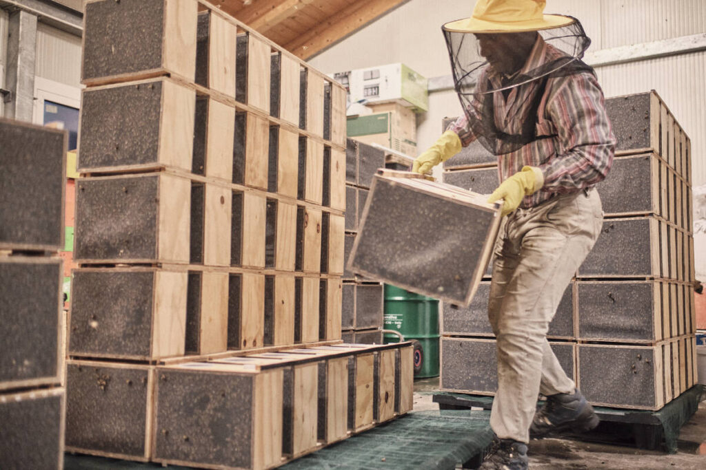 Maltese bee company files CETA complaint, claims $4M loss