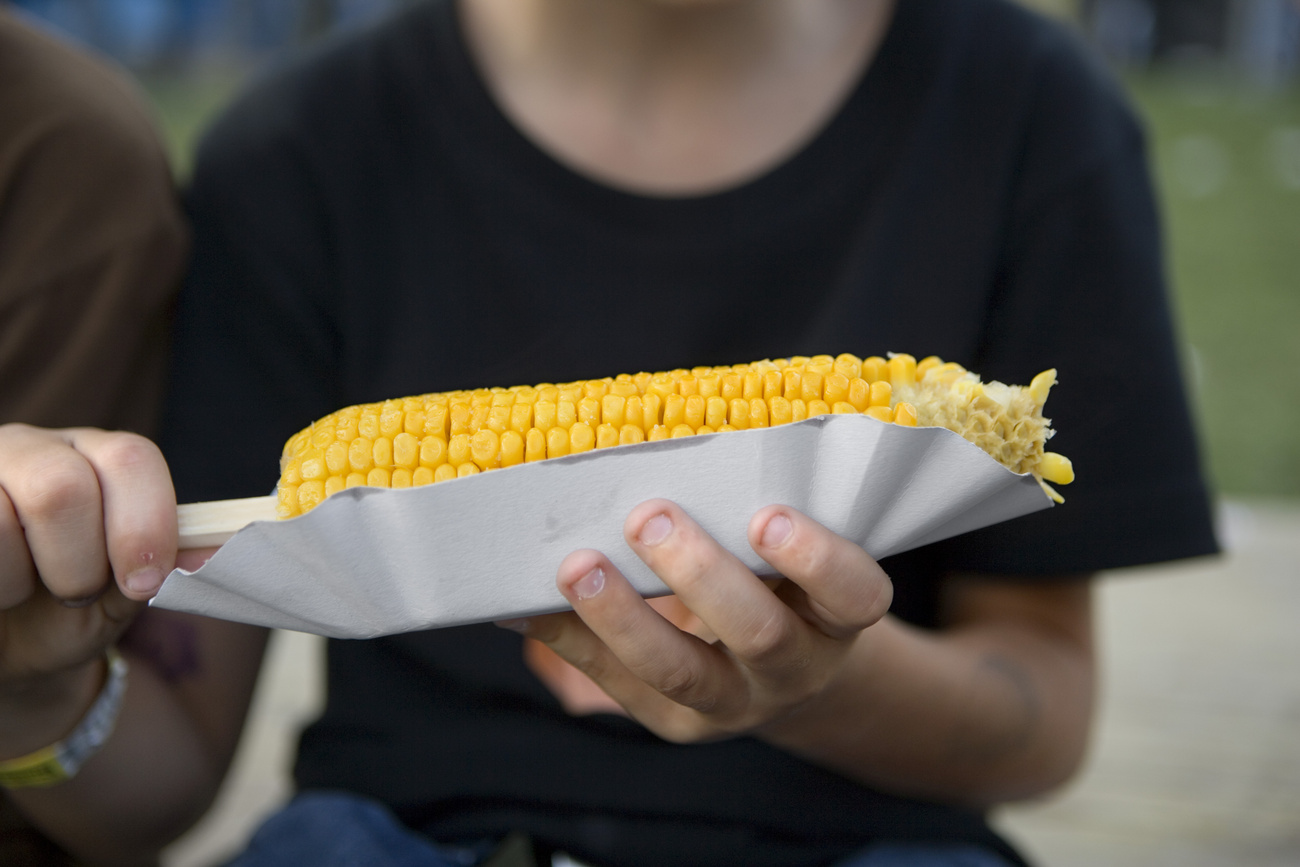 Photo of young boy eating a corn on the cob.
