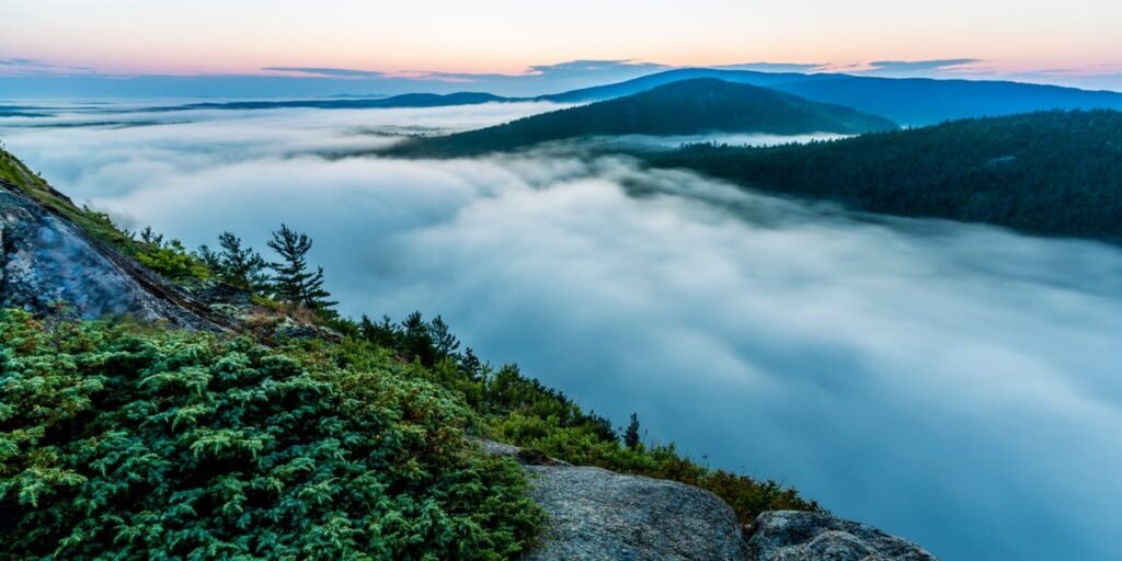 Scientists Just Discovered That Fog Is Alive Scientists Just Discovered That Fog Is Alive