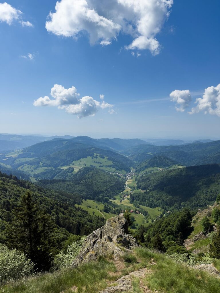 I Hiked 164 km on the Westweg in 4 Days