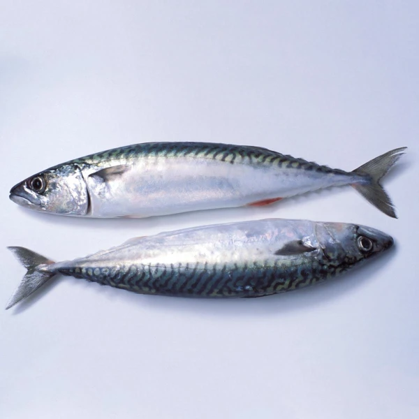 Have you recently bought fish from Norway in Latvia? An official message about which fish should definitely not be eaten