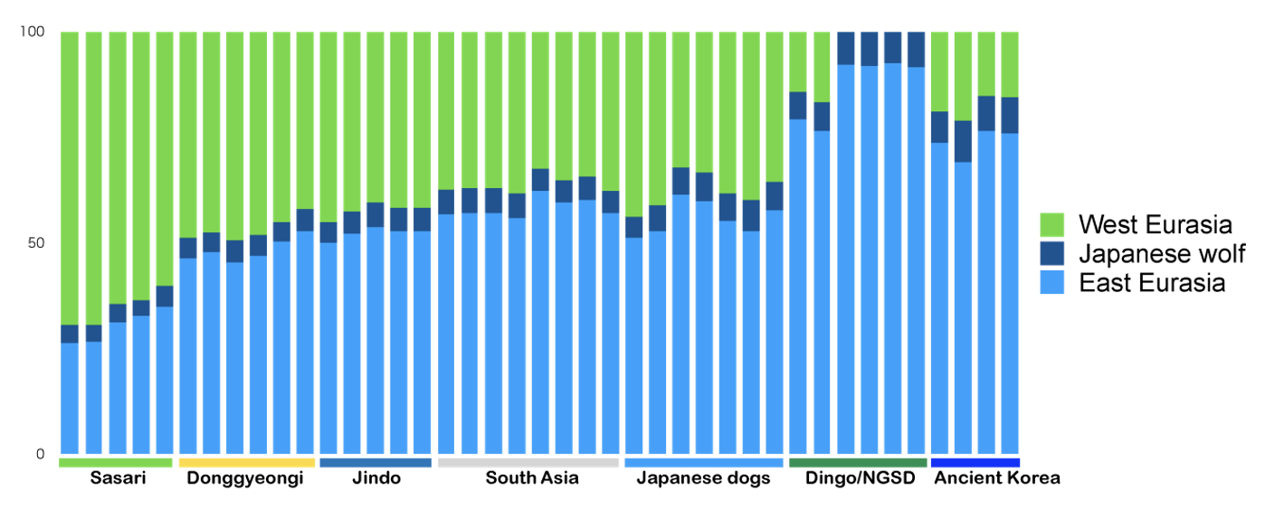 Analysis of DNA composition ratios of ancient and modern Korean dogs [KOREA HERITAGE SERVICE]