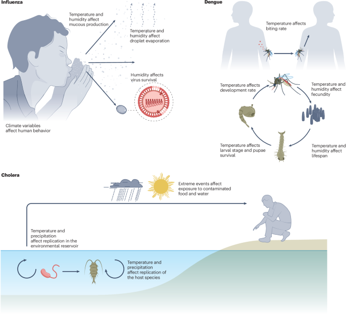 Climate change and infectious diseases