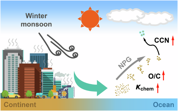 East Asian winter monsoon reshapes aerosol composition and CCN activation over the China Seas