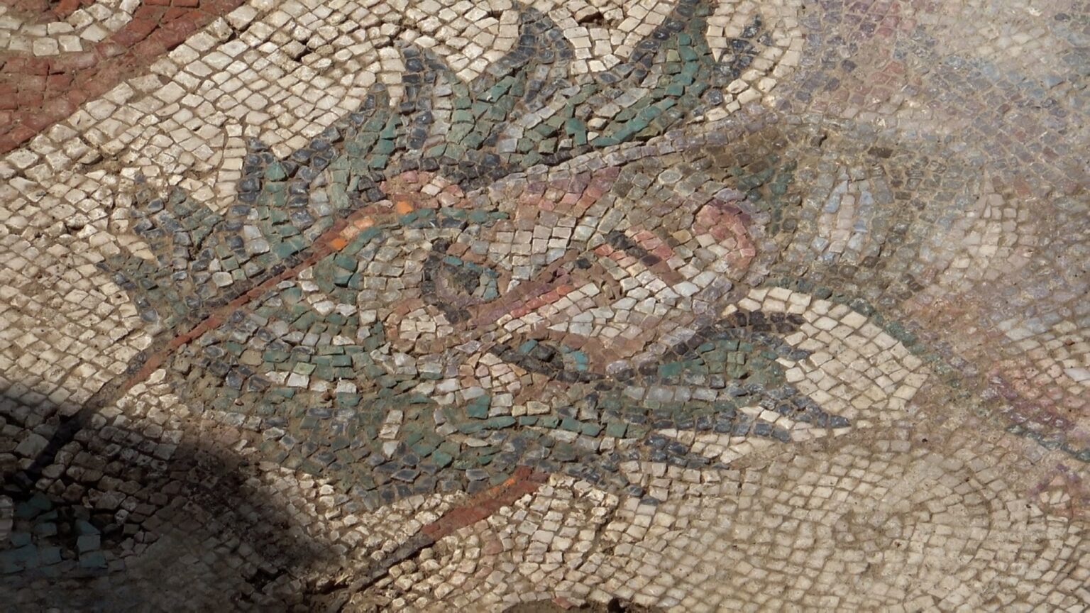 Ancient mosaic unearthed in Türkiye's Tokat rivals iconic ‘Gypsy Girl’