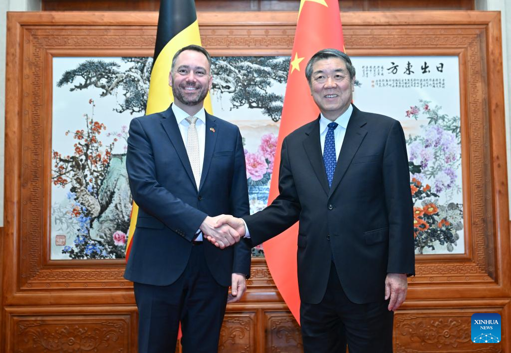 Chinese vice premier meets Belgium's deputy PM on deepening cooperation-Xinhua