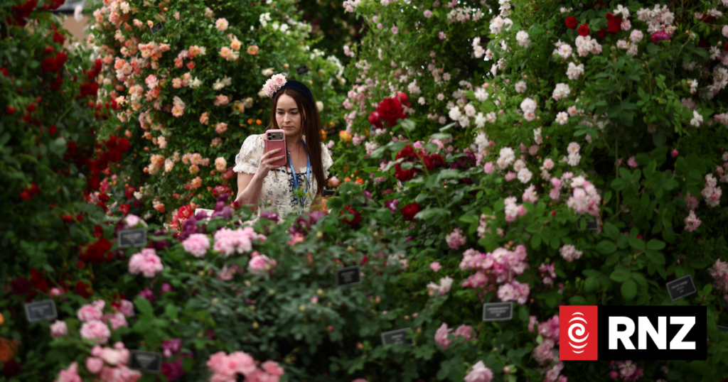 Love, lust and gnomes as top UK flower show bursts into bloom Love, lust and gnomes as top UK flower show bursts into bloom