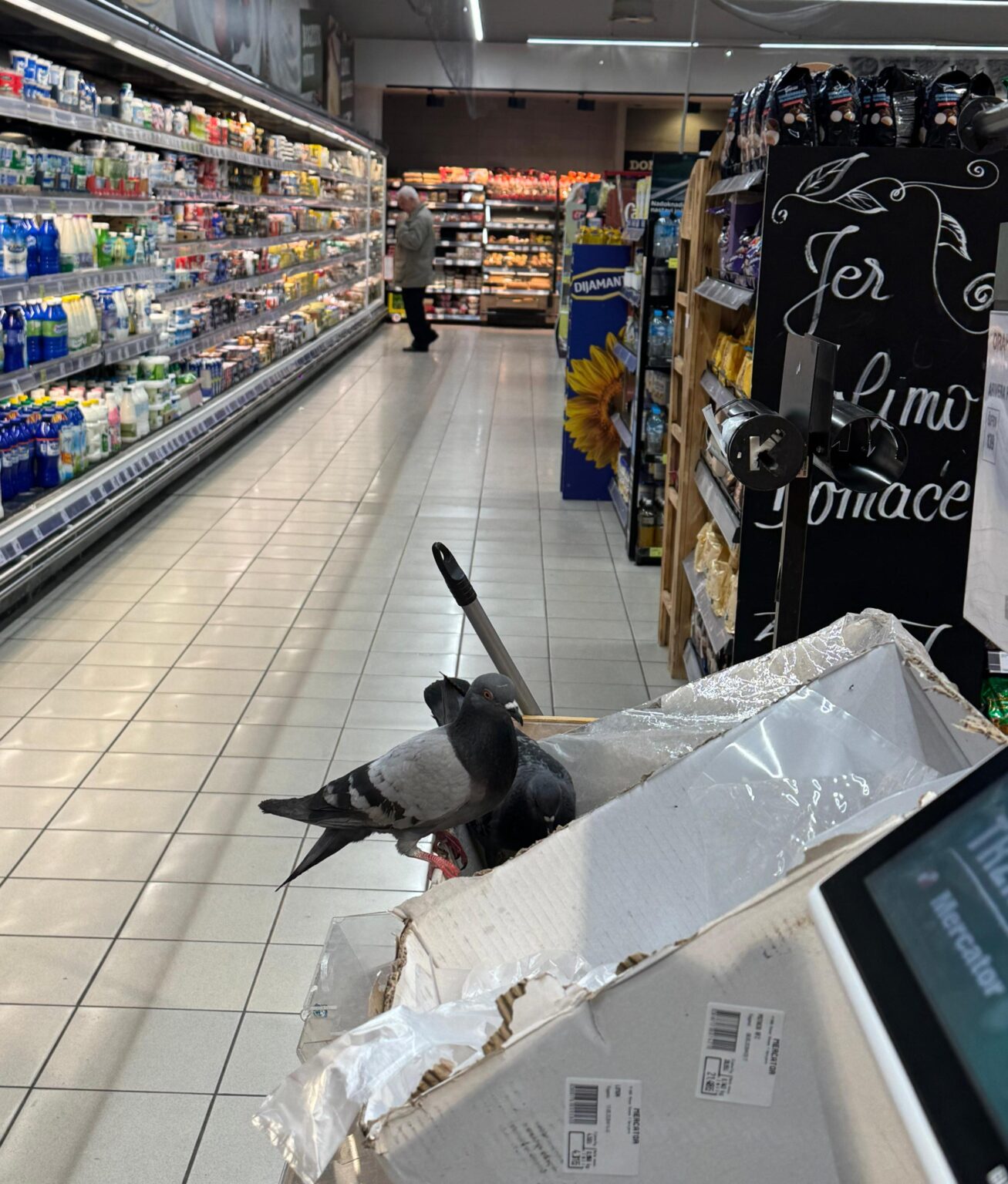 Mercator touched the bottom