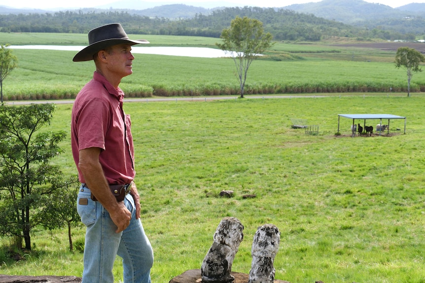 Troy Dunn looking out at a valley of sugarcane below his property. 
