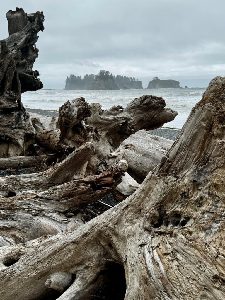 Rugged and beautiful beaches on Washington’s Olympic Peninsula