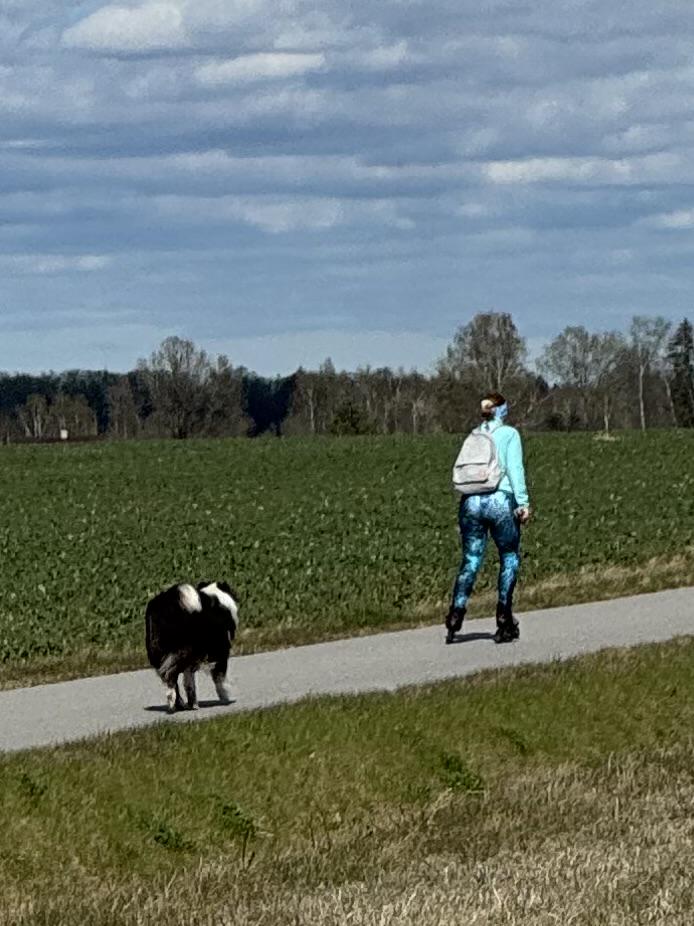 Why are there so many dog ​​owners like this?