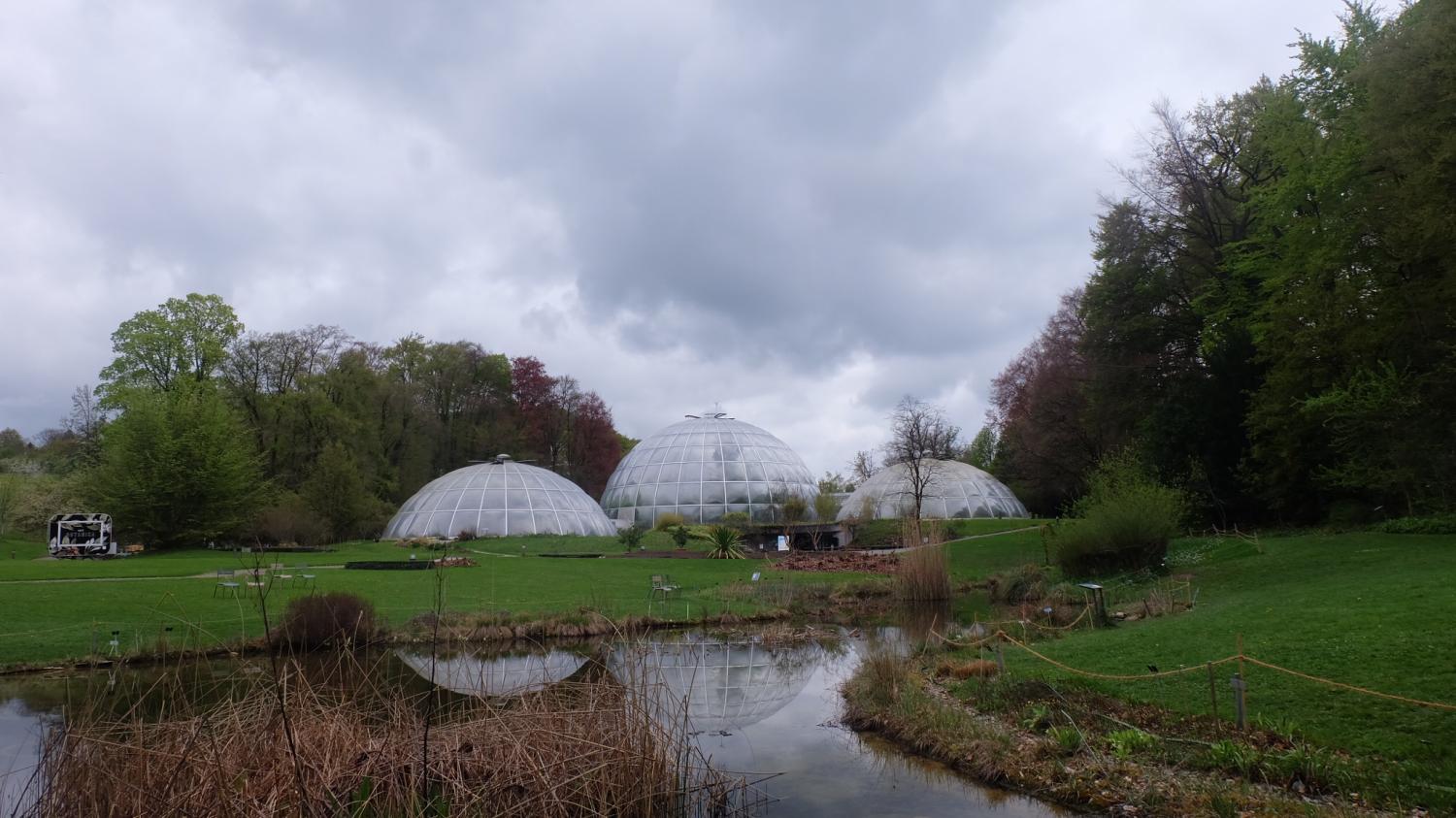 The New Botanic Garden of the University of Zurich.