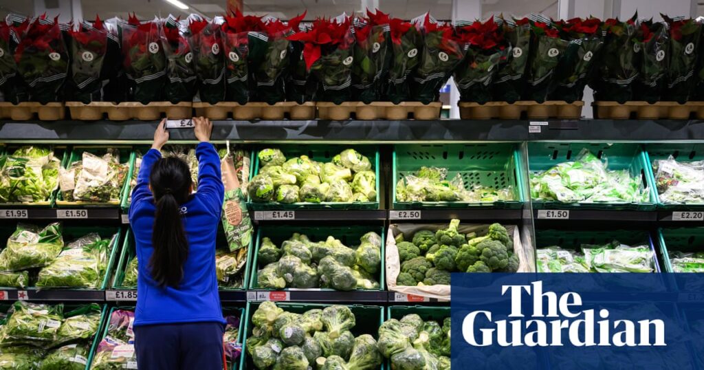 Britain ‘sleepwalking into a food crisis’ without urgent action, experts say | Environment Britain ‘sleepwalking into a food crisis’ without urgent action, experts say | Environment