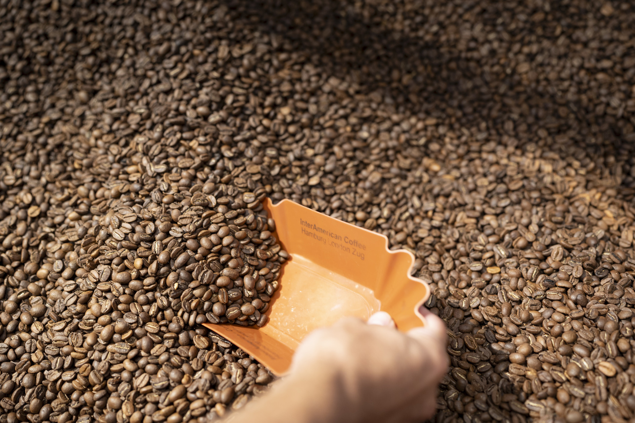 Coffee