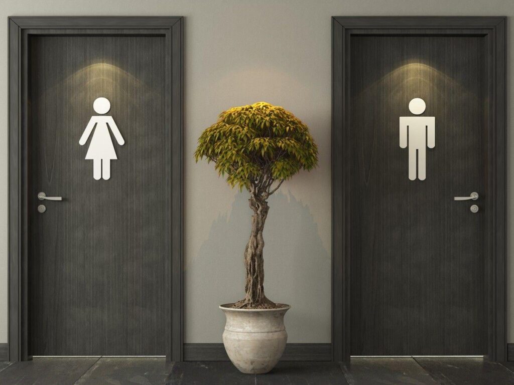 Immigrants less likely to support freedom of gender expression than people born in Canada: StatCan Immigrants less likely to support freedom of gender expression than people born in Canada: StatCan