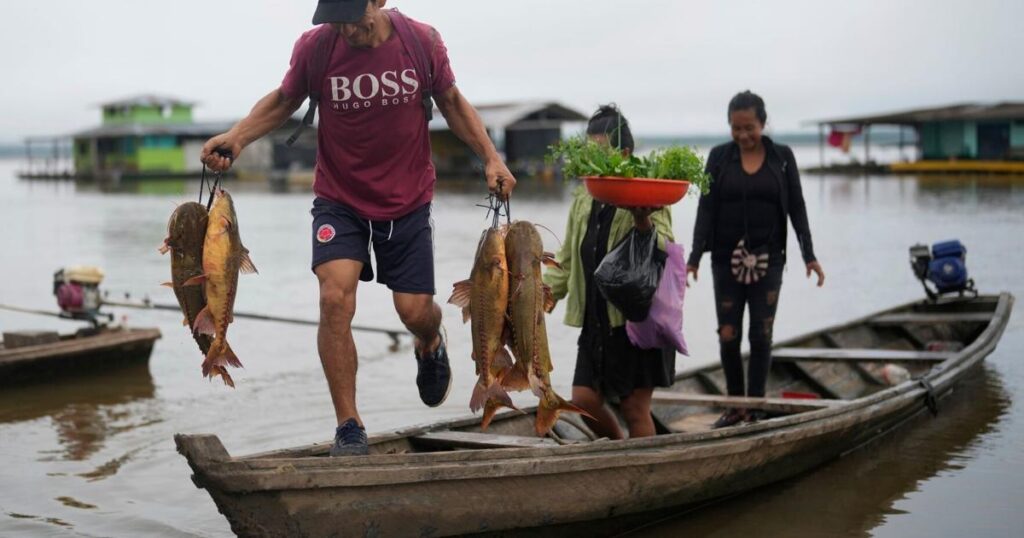 Scientists find climate change is reducing oxygen in rivers worldwide | National & World News