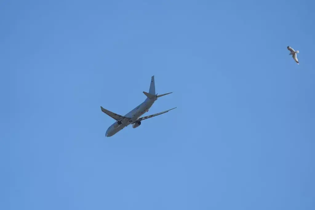 RAF maritime patrol aircraft conducts surveillance flight near Belarus, Russia