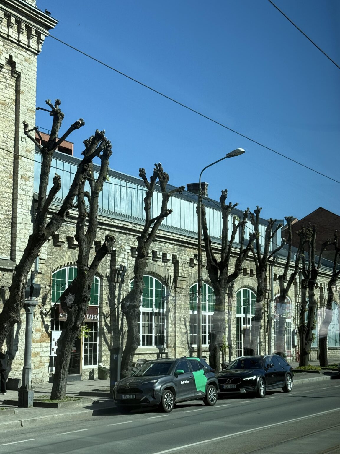 Why are the trees cut down in Tallinn?