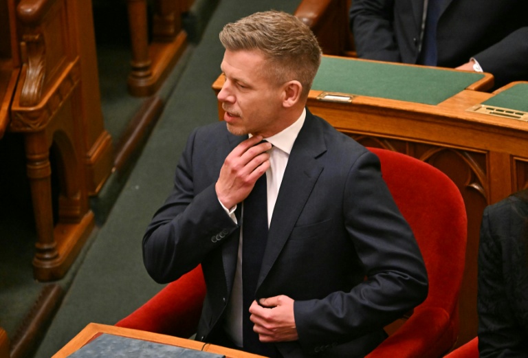 Hungary PM visits Poland, Austria to restore ties Hungary PM visits Poland, Austria to restore ties