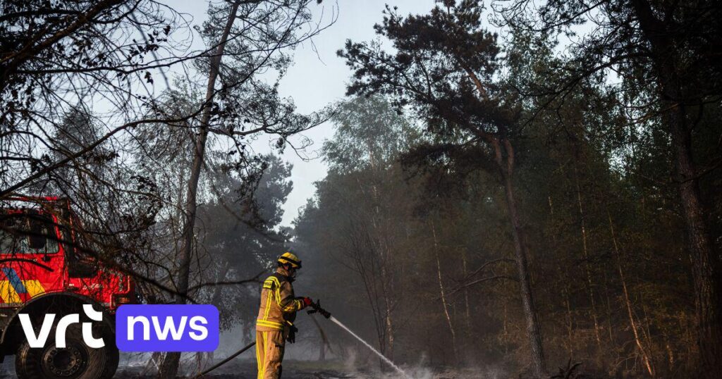 Fire brigades are concerned about colleagues who prefer to do extra work as volunteers (and thus earn extra). VRT NWS News