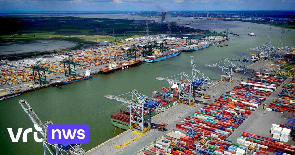 Shipowner MSC starts sailing route from Antwerp to the Persian Gulf, without the Strait of Hormuz