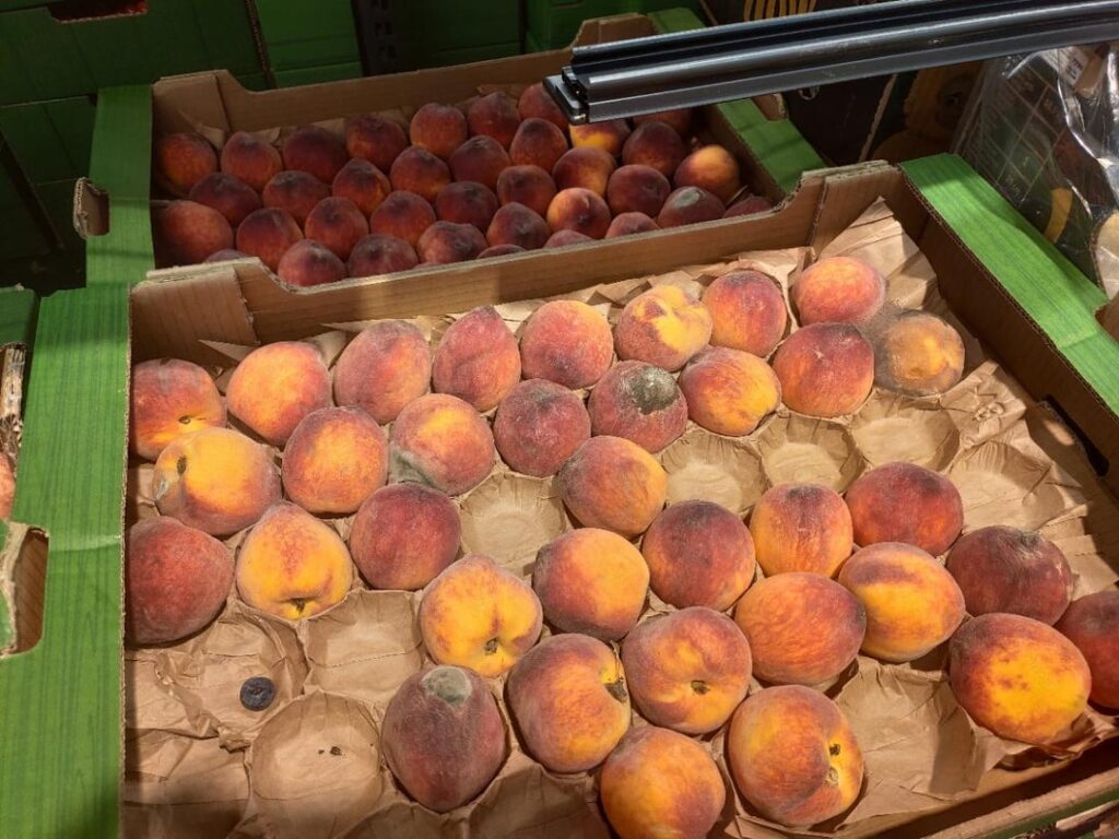 Who needs a moldy peach from Biedra?