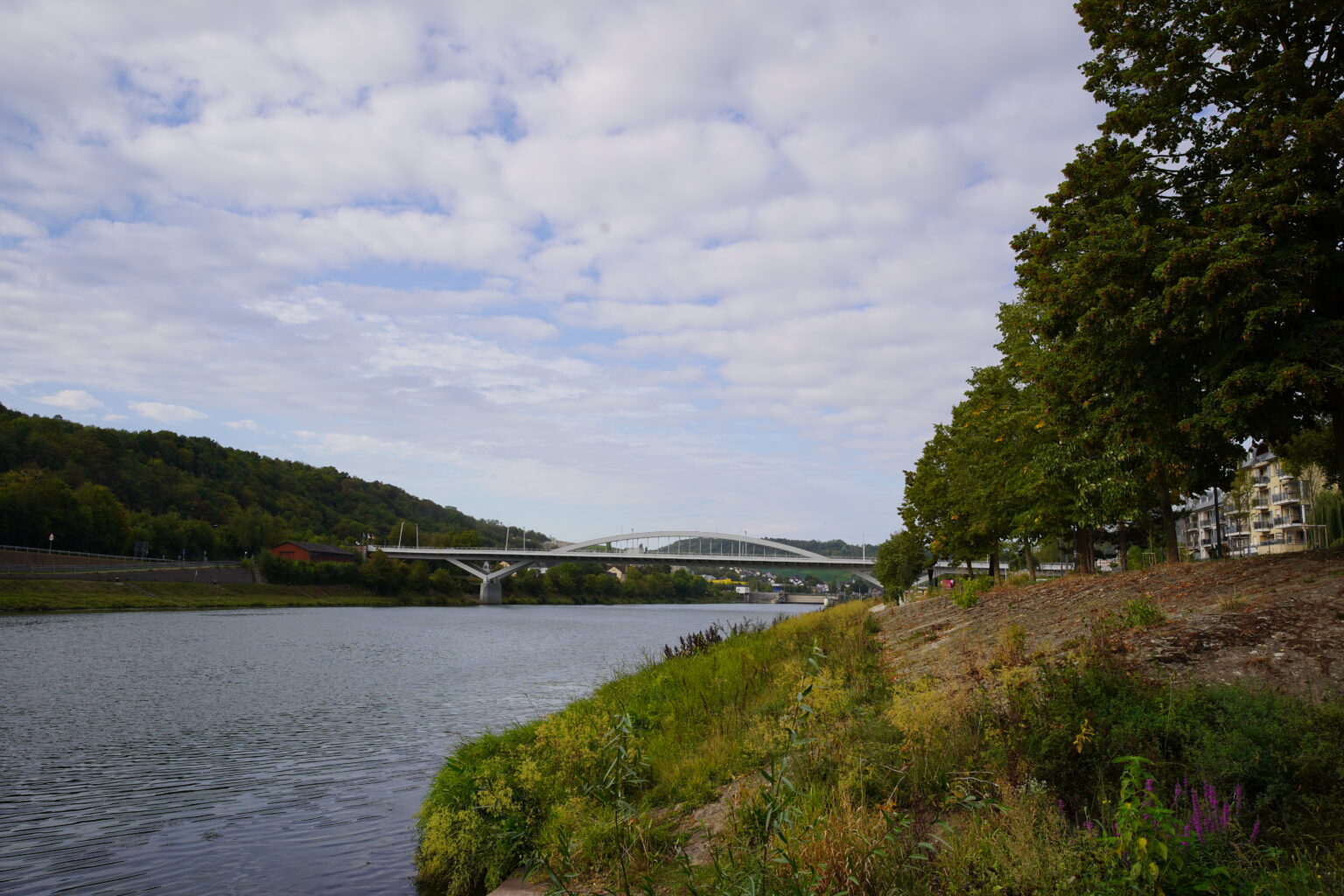 Grevenmacher: Man dies from injuries after jumping into Moselle on Monday Grevenmacher: Man dies from injuries after jumping into Moselle on Monday