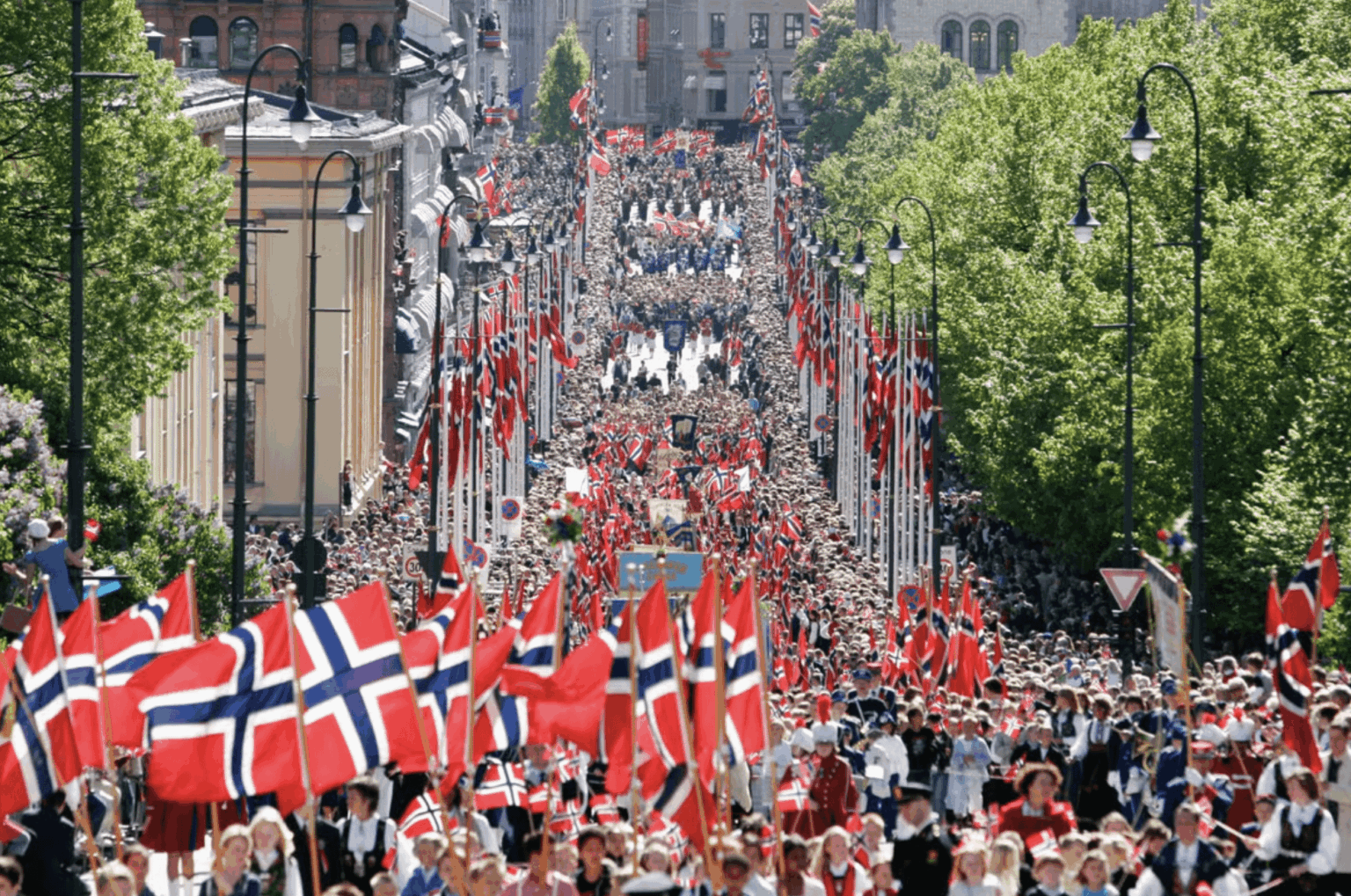 Happy birthday Norway!!!💙 ❤️ 🤍