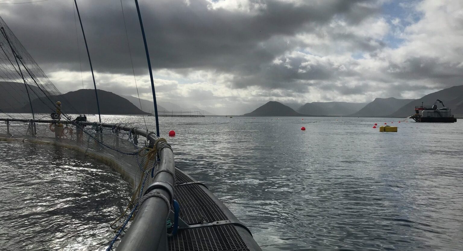 Iceland's Arctic Fish posts record Q1 harvest, lifts 2026 guidance