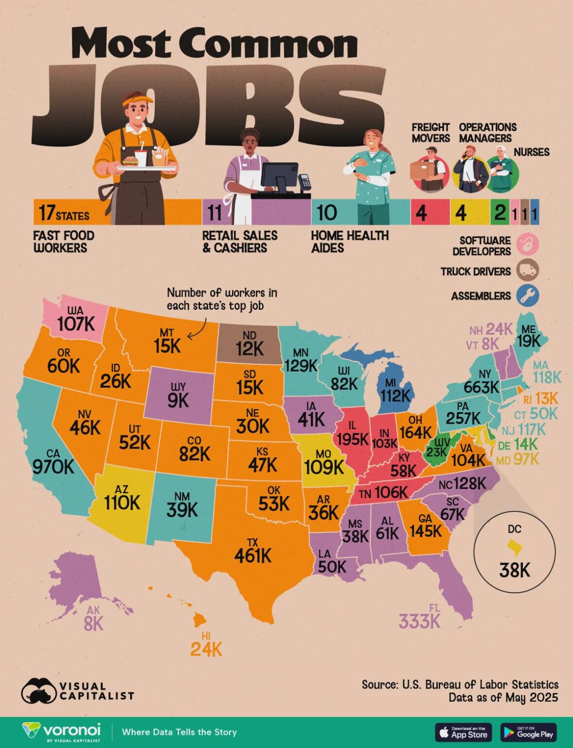 A map of the most common jobs in the United States.