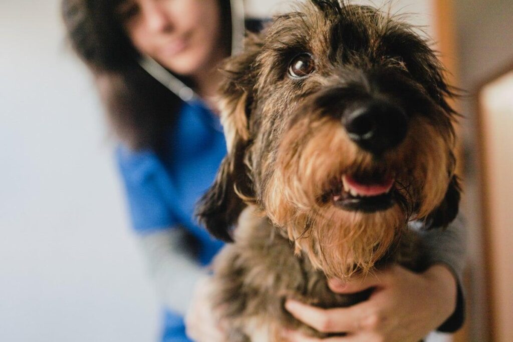 Vet wins more than £12,000 after she was forced to work through her lunch breaks