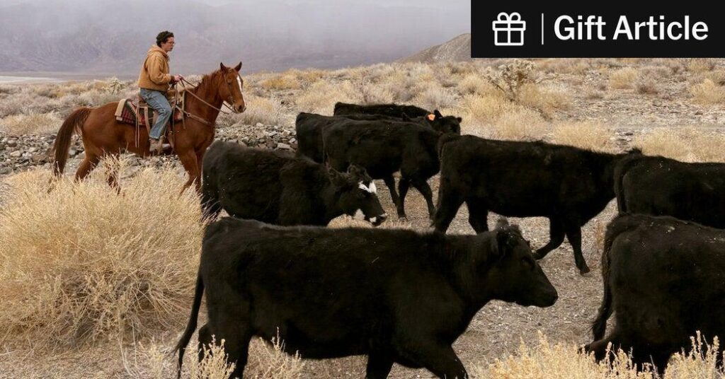 A Cattle Ranch Is Doing What the Ivy League Can’t