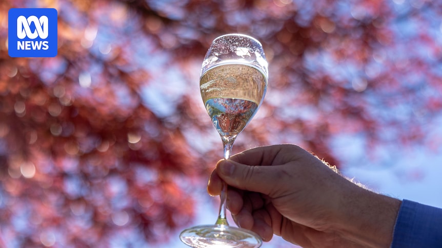 King Valley prosecco producers prepare for upcoming export label change for Italian wine variety King Valley prosecco producers prepare for upcoming export label change for Italian wine variety
