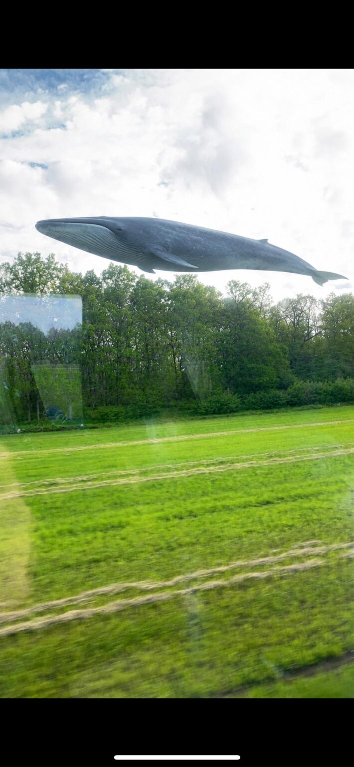 Cool thing I saw when I was riding the train!