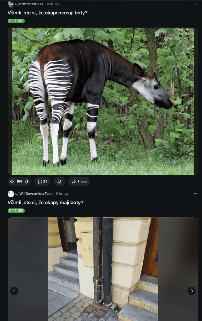 Okay, I really love these redditor moments