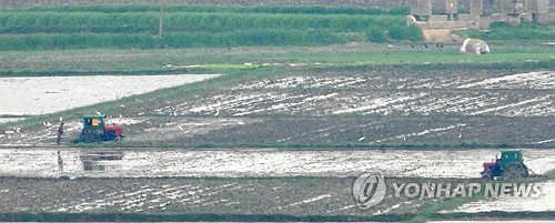 N. Korea pushes rice transplanting drive amid food shortages