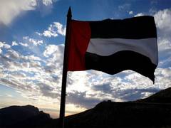 Austria backs faster EU trade deals with UAE, global partners Austria backs faster EU trade deals with UAE, global partners