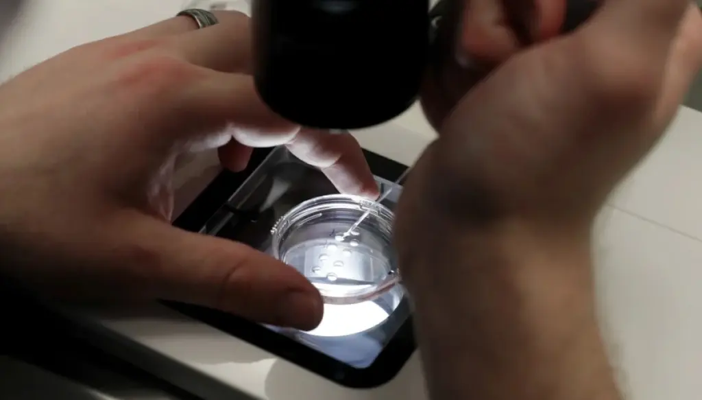Israeli national arrested at airport trying to smuggle human embryos