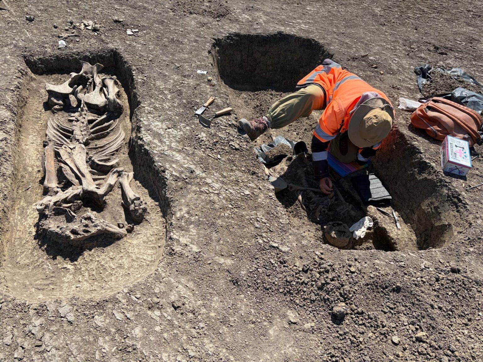 1,400-Year-Old Elite Avar Warrior Buried with His Horse, Gold and Silver Objects Unearthed in Romania