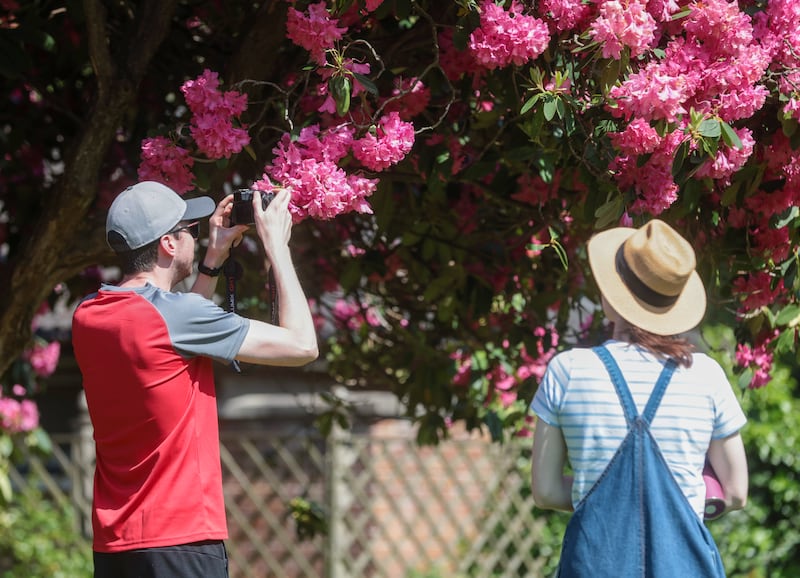 People enjoying the hot weather in Sir Thomas & Lady Dixon Park as temperatures are expected to rise to 28 °C in parts of Ireland this week. PICTURE: BRIAN LINCOLN
