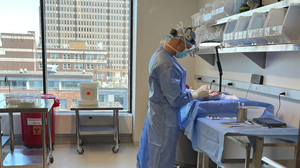 Following $23M capital raise, brain research company Bexorg opens expanded New Haven HQ Following $23M capital raise, brain research company Bexorg opens expanded New Haven HQ