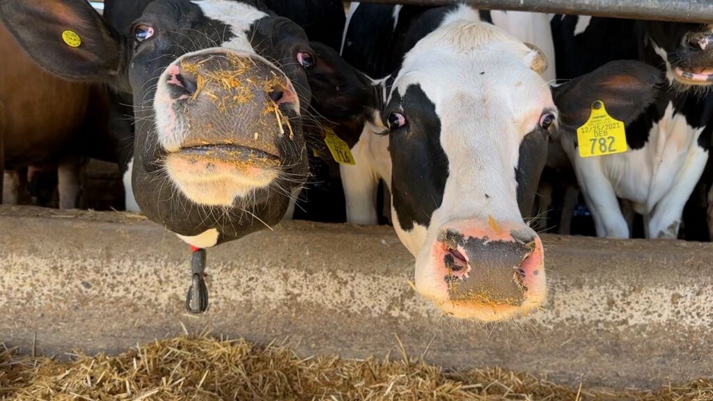 In Focus: How ag is a multiplier for local economies In Focus: How ag is a multiplier for local economies