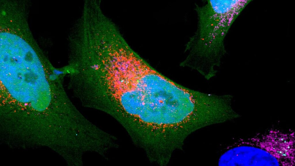 Scientists Discover Over 1,700 ‘Dark’ Proteins Hidden in Human Cells : ScienceAlert Scientists Discover Over 1,700 'Dark' Proteins Hidden in Human Cells : ScienceAlert