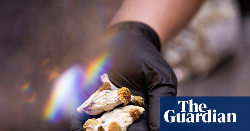 Magic mushrooms could be effective treatment for cocaine addiction, study shows. Participants who got single dose of psilocybin were more likely to abstain from cocaine than those who got placebo Magic mushrooms could be effective treatment for cocaine addiction, study shows. Participants who got single dose of psilocybin were more likely to abstain from cocaine than those who got placebo